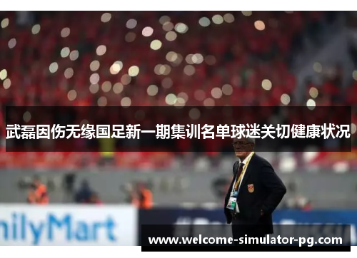 武磊因伤无缘国足新一期集训名单球迷关切健康状况