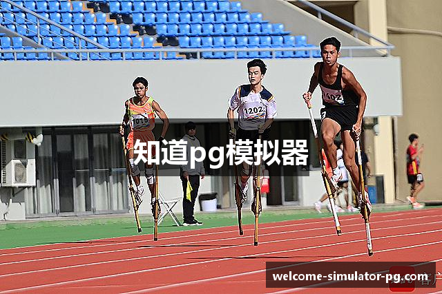 知道pg模拟器